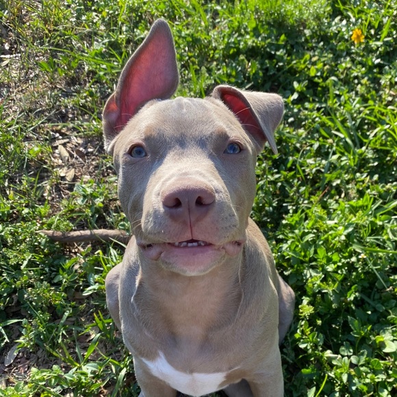 Meet your Posher, Derek - Picture 6 of 7